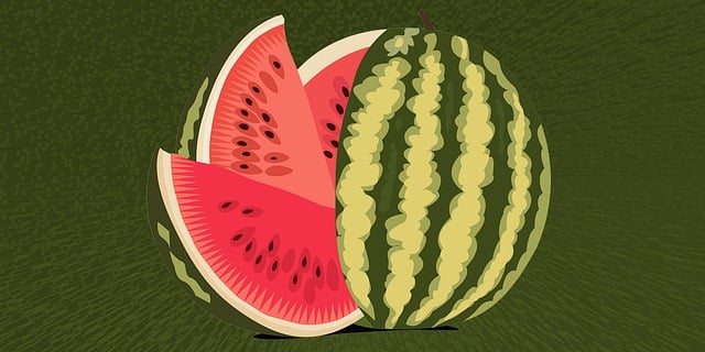 Free watermelon 3d background fruit illustration