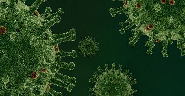 Virus, Patogen, Infeksjon, Biologi