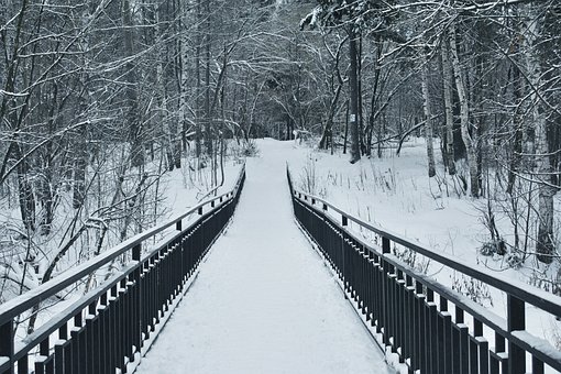 Мост, Дорога, Лес, Деревья, Зима, Bridge