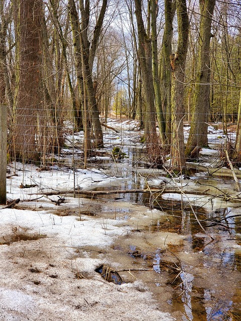 Free Enclosed Beauty Nature photo and picture