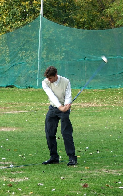 Free Golf Master photo and picture