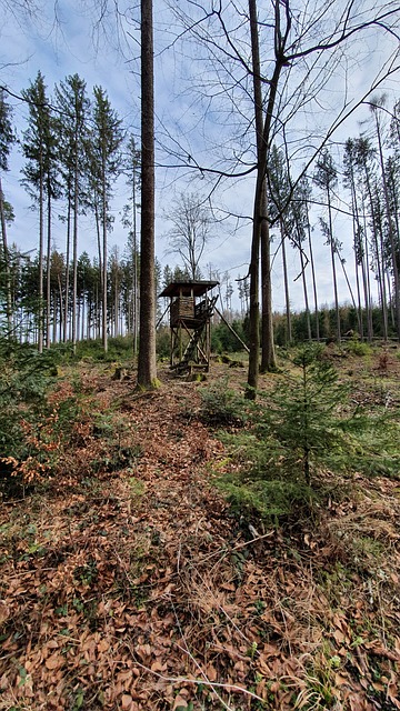 Schwuler Poppen Wald Doppelter