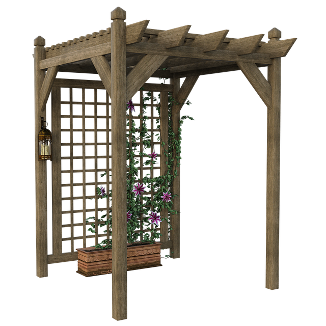 Free trellis garden ivy illustration