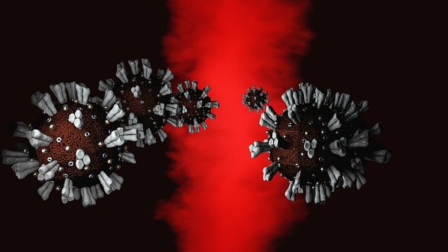 Download free HD stock image of Coronavirus Corona Free coronavirus corona virus illustration