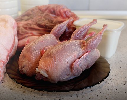 Free Bird Meat photo and picture