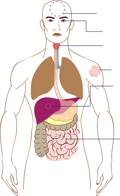 Free symptoms sick health illustration