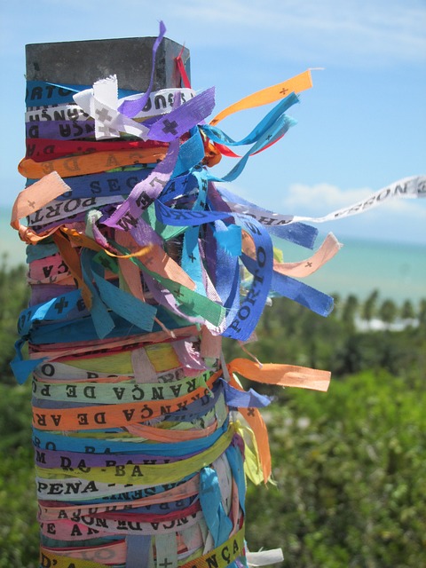 Free Bahia Trip photo and picture