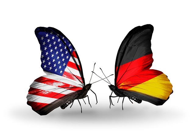 Free flag american insect illustration