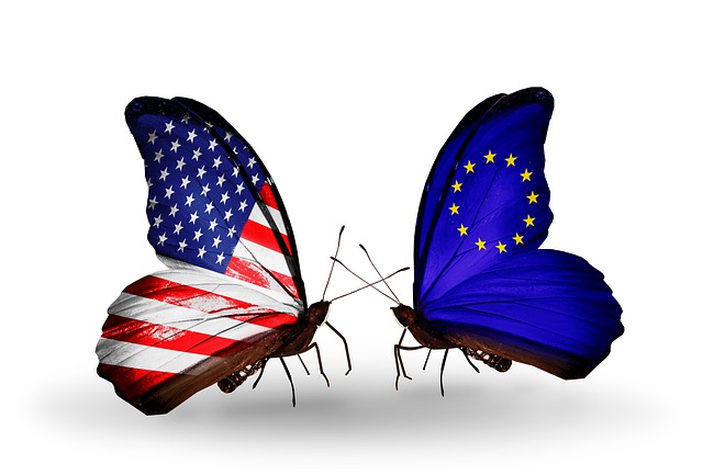 Free flag american insect illustration