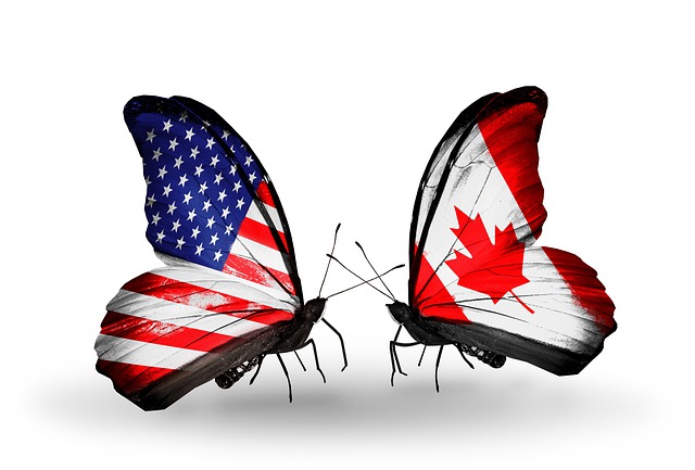 Free flag american insect illustration