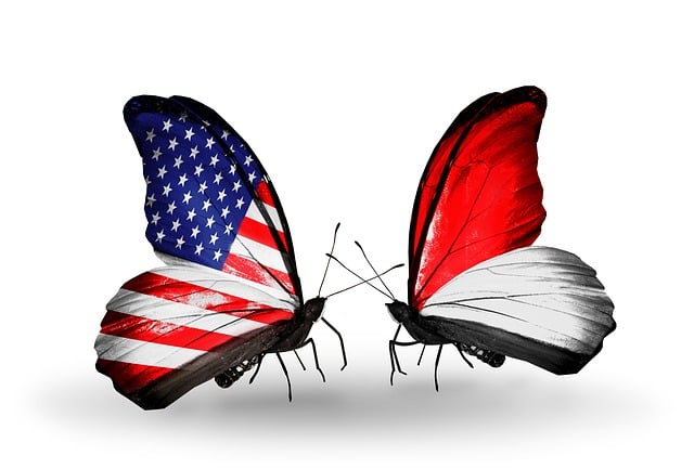 Free flag american insect illustration