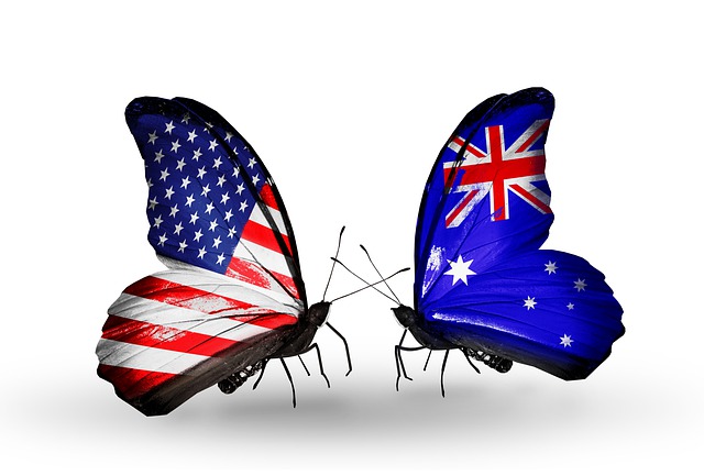 Free flag american insect illustration