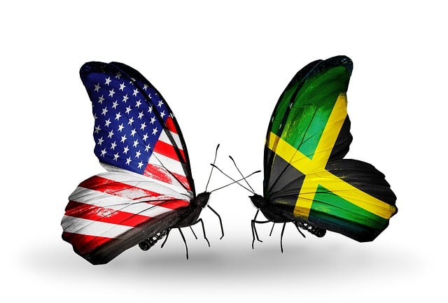 Free flag american nature illustration