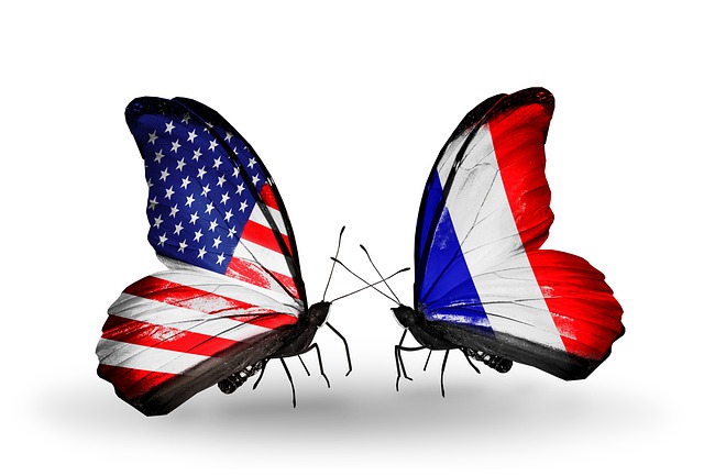 Free flag american insect illustration