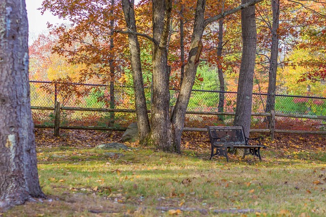 Free Autumn Peaceful photo and picture