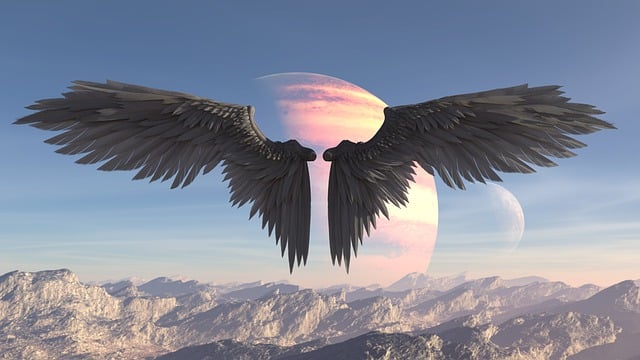 Free angel wings white illustration
