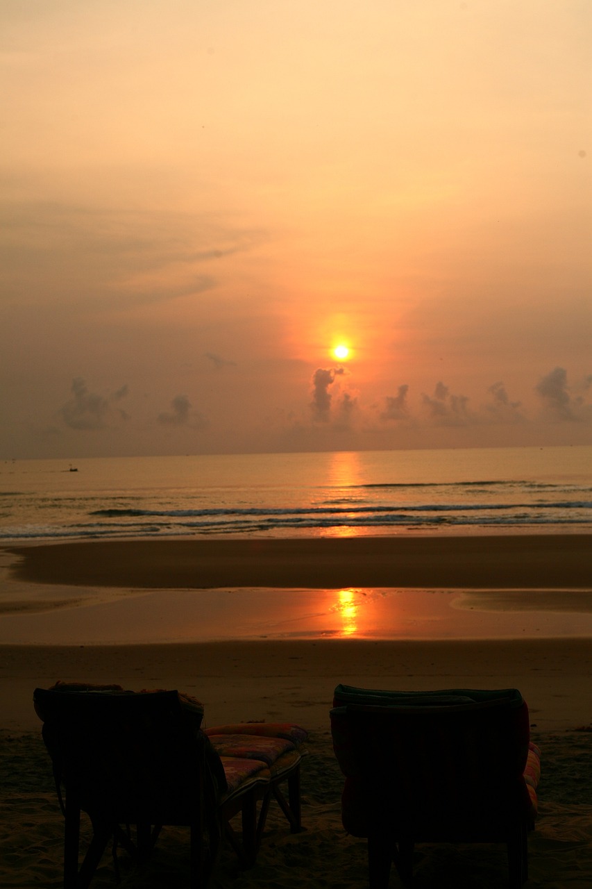 Coucher De Soleil Paysage Marin Plage Avec Palmiers | Vecteur Gratuite