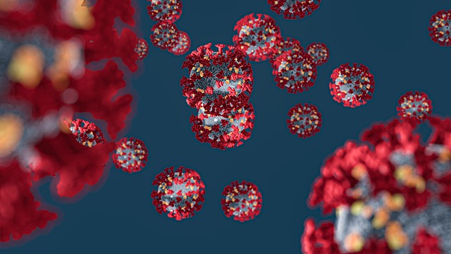 Free Corona Virus Coronavirus illustration and picture