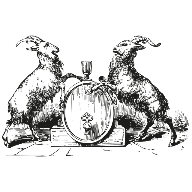 Free ram drinking barrel illustration