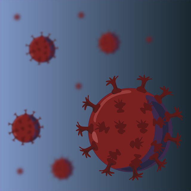 Virus, Covid-19, Coronavirus, Pandemi