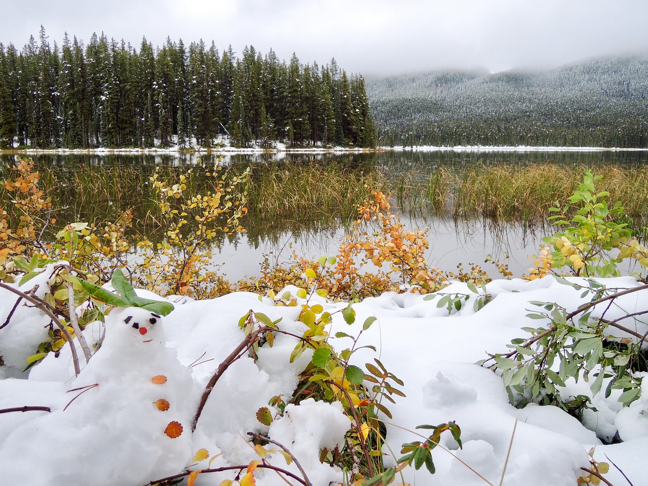 Free Winter Snowman photo and picture