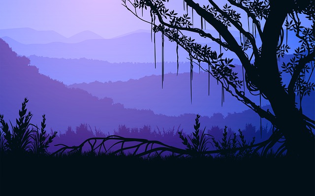 Sunset, Sky, Tree, Landscape, Sunrise