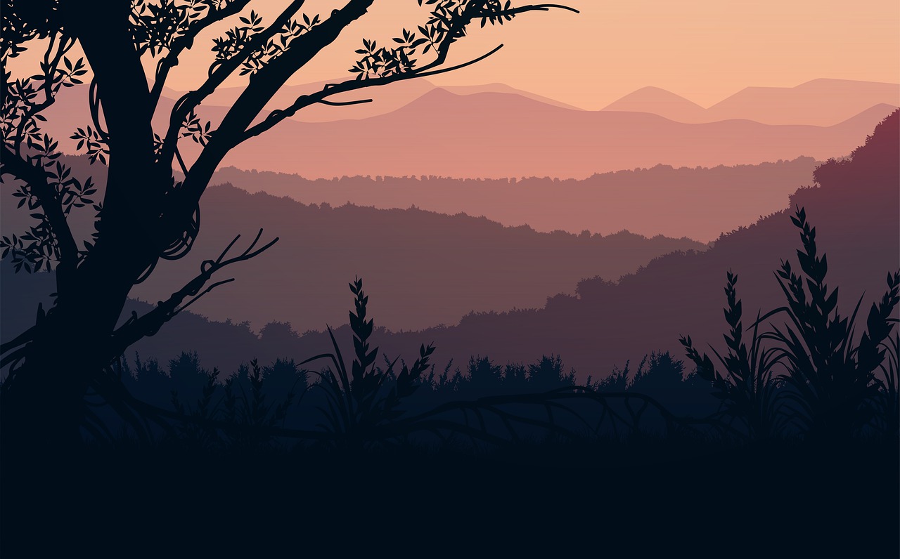 Free sunset sky tree illustration