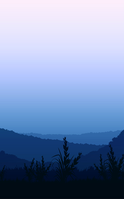 Sunset, Sky, Tree, Landscape, Sunrise