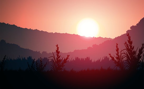 Sonnenuntergang, Himmel, Baum