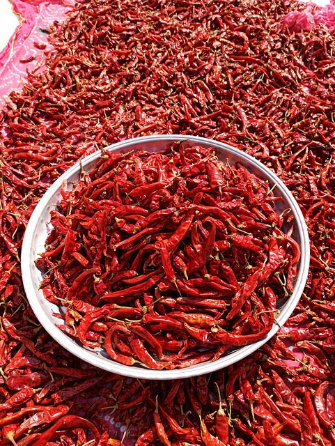 Free Red Chili Dried photo and picture