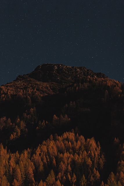 自然 山的森林 晚上 - Pixabay上的免费照片 - Pixabay