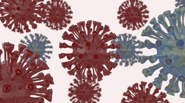 Coronavirus, Virus, Covid-19, Epidemi