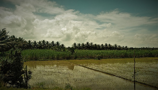 Free Landscape Clouds photo and picture