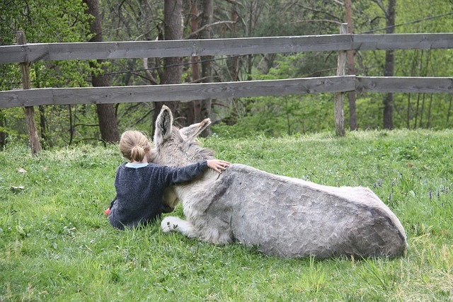 Free Friendship Children photo and picture
