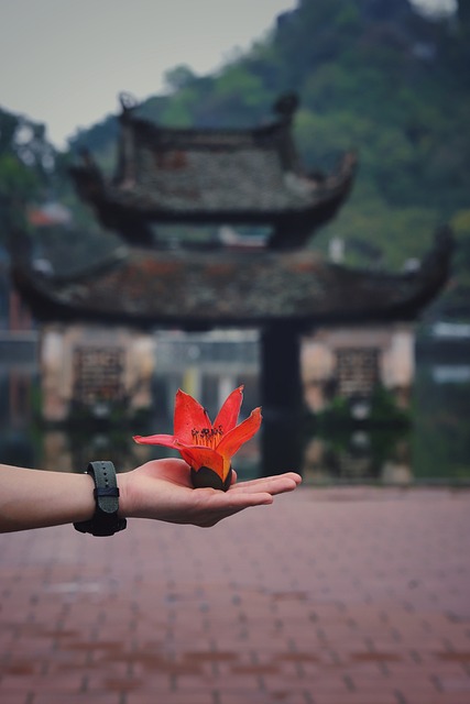 Free Flower Flower Background photo and picture