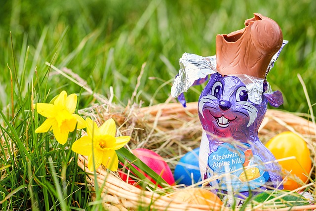 Download free HD stock image of Rabbit Easter Bunny Free Rabbit Easter Bunny photo and picture