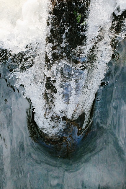 Wasser, Fluss, Baumstamm, Ast, Stamm