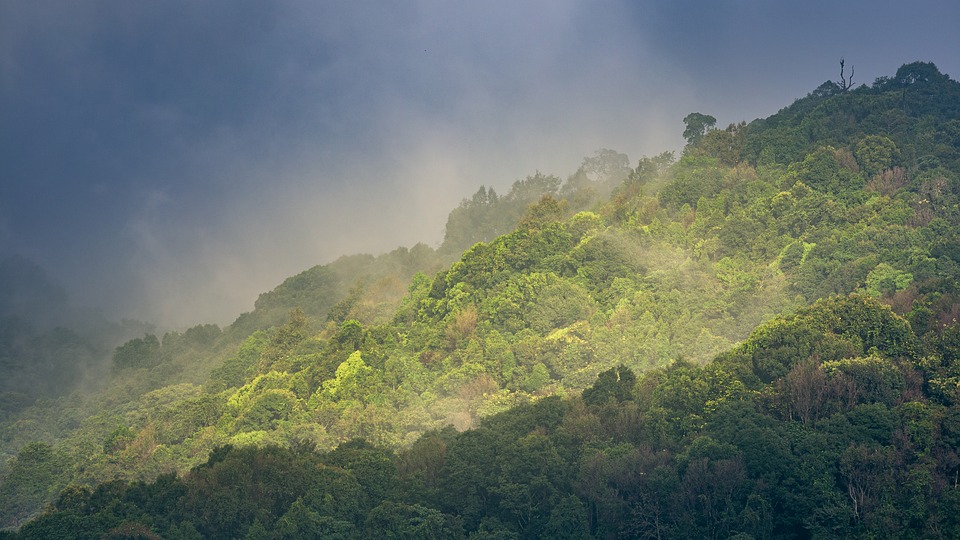 landscape-4938194_960_720.jpg