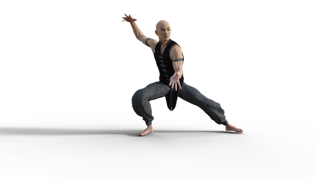 Kung Fu, Krijgshaftig, Kunsten, Houding