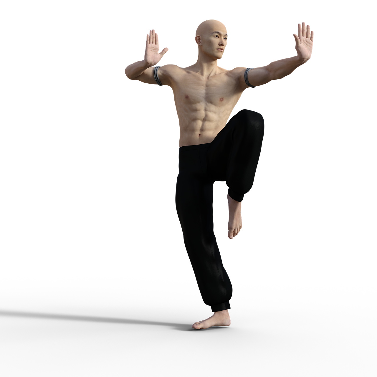 Pose kung fu
