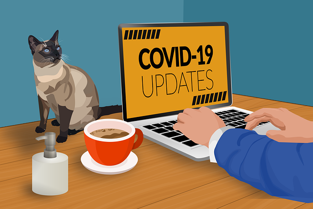 Covid-19, Trabalhar A Partir De Casa