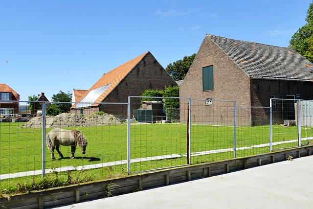 Free Horse House photo and picture
