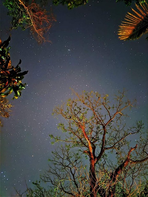 Árvore, Céu, Natureza, Panorama