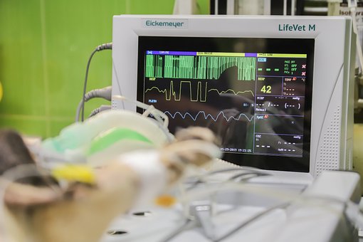 Monitoring, Life Monitor, Ekg