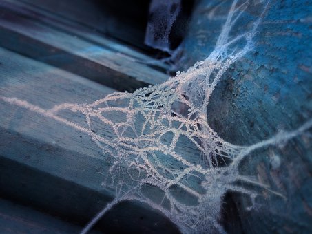 Free Web Blue photo and picture
