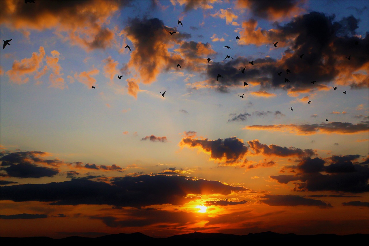 Sunset - free online jigsaw puzzle photo