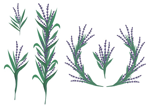 Free watercolor flower plants illustration