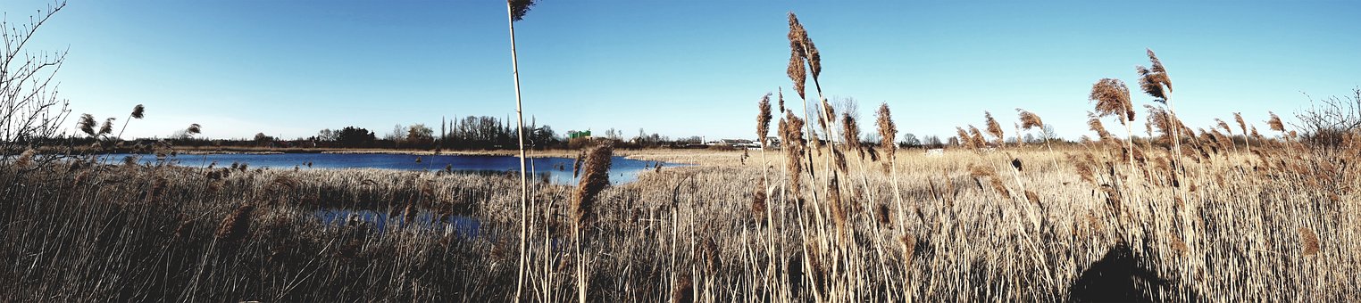 Panorama, See, Landschaft, Wasser, Figur