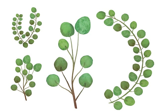 Free watercolor leaves plant illustration