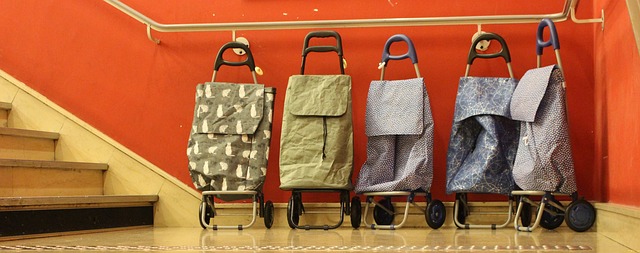 Free Shopping Shopping Venture photo and picture